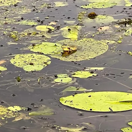 Oderpoint#sauna#jacuzzi * Gozdowice