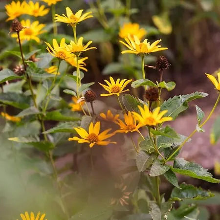 Oderpoint#sauna#jacuzzi * Gozdowice