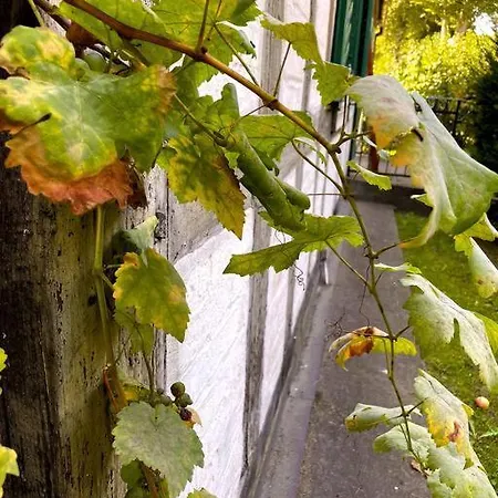 Oderpoint#sauna#jacuzzi *