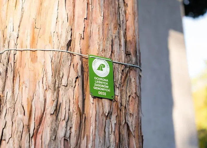 Oderpoint#sauna#jacuzzi Сasa de vacaciones