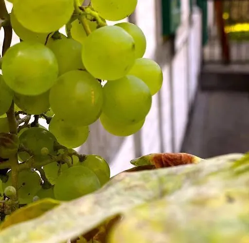 Сasa de vacaciones Oderpoint#sauna#jacuzzi Gozdowice