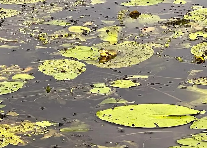 Oderpoint#sauna#jacuzzi * Gozdowice