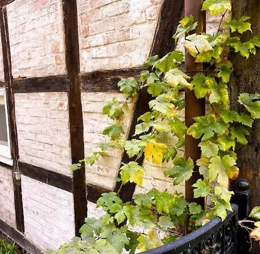 Oderpoint#sauna#jacuzzi Сasa de vacaciones Gozdowice