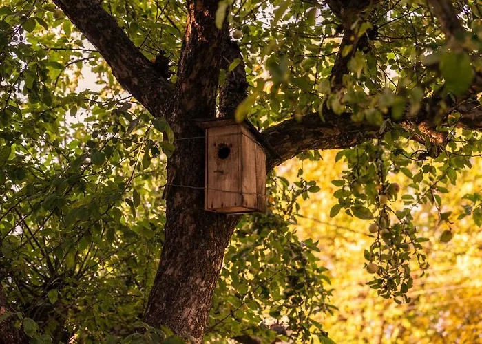 Oderpoint#sauna#jacuzzi