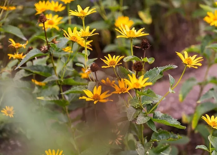 Oderpoint#sauna#jacuzzi * Gozdowice