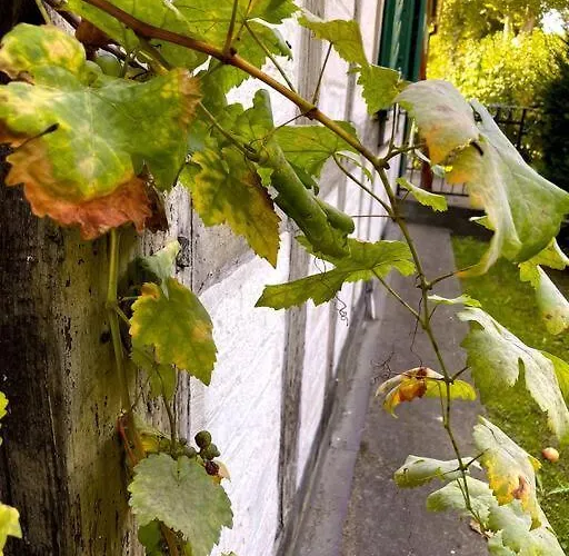 Oderpoint#sauna#jacuzzi *